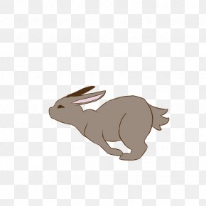 Rabbit - Domestic Rabbit Hare Walk Cycle Easter Bunny PNG