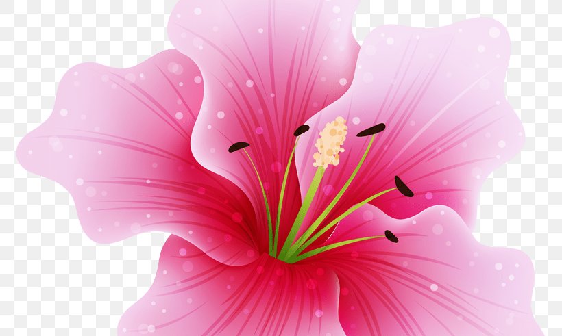Pink Flowers Clip Art, PNG, 800x491px, Flower, Art, Blossom, Close Up, Color Download Free