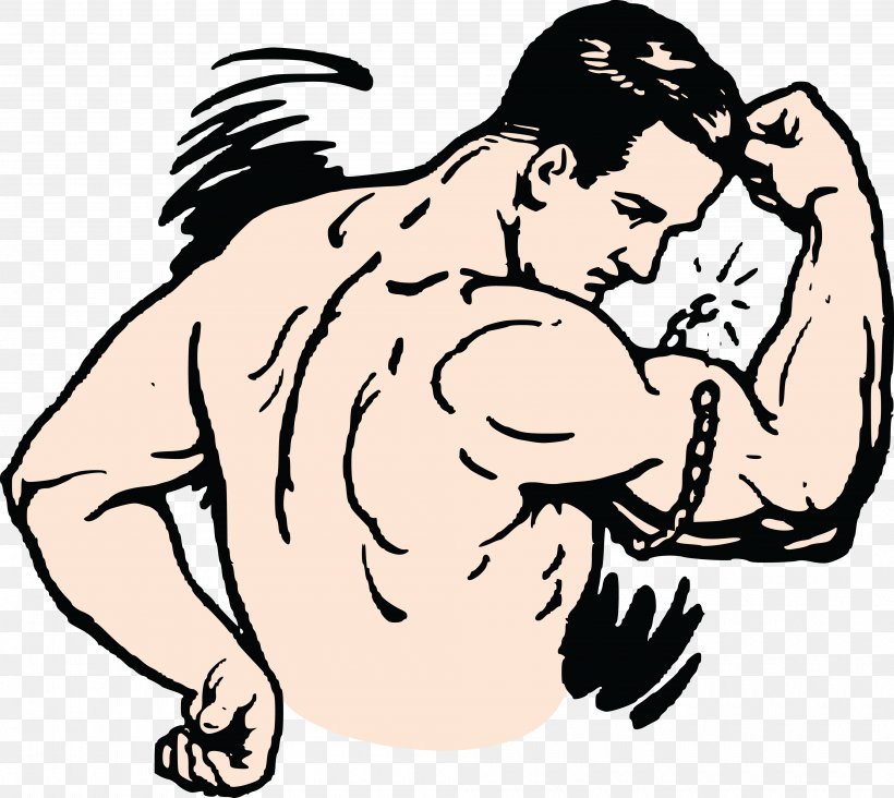 Strongman Bodybuilding Clip Art, PNG, 4000x3573px, Watercolor, Cartoon, Flower, Frame, Heart Download Free