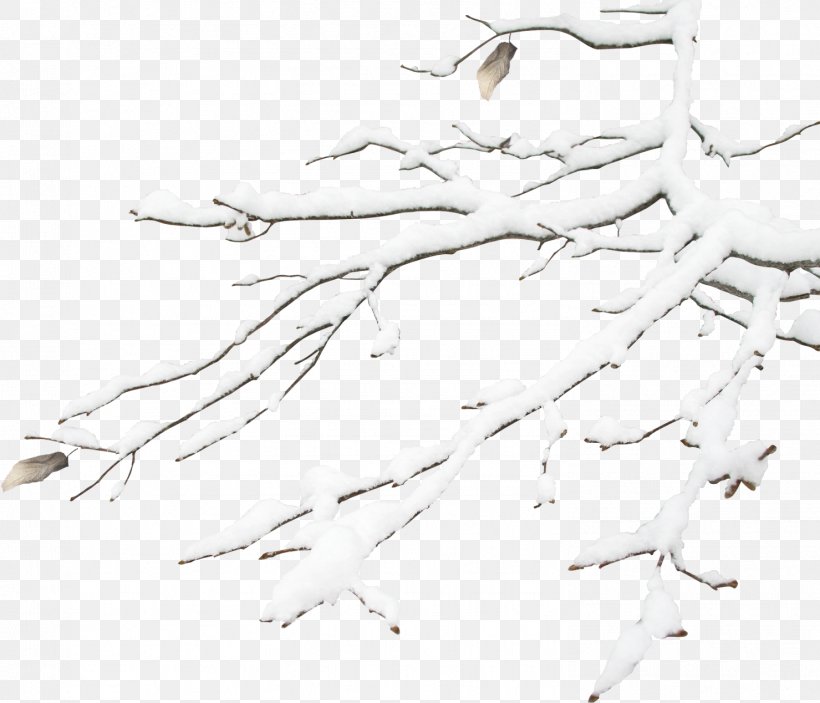 Winter Snowflake Gratis, PNG, 1479x1268px, Winter, Artwork, Beak, Bird, Black And White Download Free