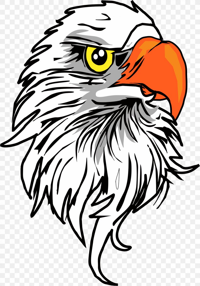 Bald Eagle Clip Art, PNG, 1594x2281px, Bald Eagle, Animal, Art, Artwork, Autocad Dxf Download Free