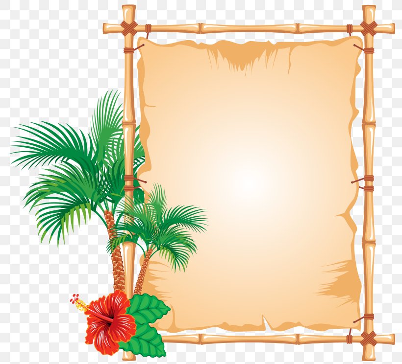 Bamboo Picture Frames, PNG, 800x744px, Bamboo, Art, Decorative Arts, Drawing, Graphic Arts Download Free
