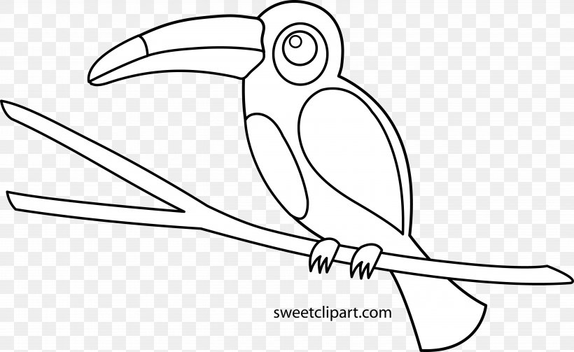 Bird Drawing Toucan Coloring Book Clip Art, PNG, 6000x3682px, Watercolor, Cartoon, Flower, Frame, Heart Download Free