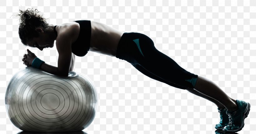 Exercise Balls Strength Training Plank, PNG, 1581x832px, Exercise, Abdomen, Abdominal Exercise, Aerobic Exercise, Aerobics Download Free