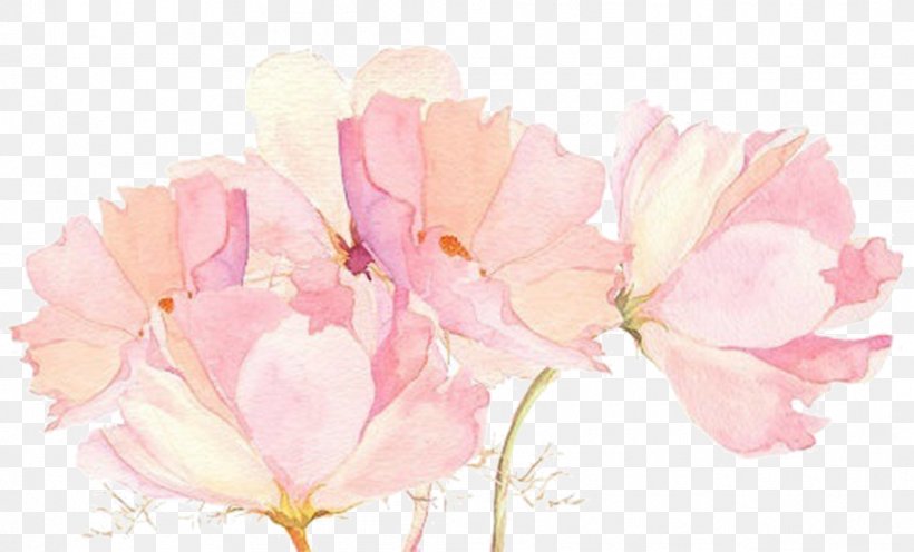 Flower Drawings Watercolor Painting Pink, PNG, 1042x631px, Flower Drawings, Art, Art Museum, Azalea, Blossom Download Free