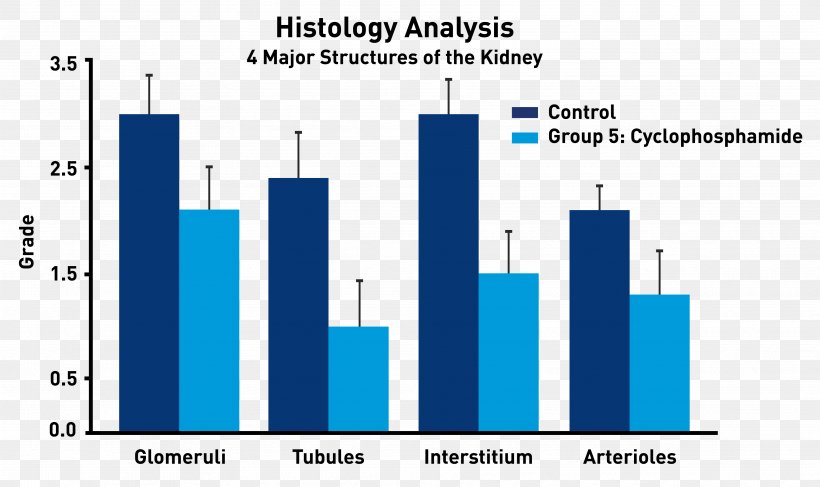 Graphic Design Systemic Lupus Erythematosus Graphics Graph Of A Function, PNG, 3544x2107px, Systemic Lupus Erythematosus, Age Of Onset, Area, Blue, Brand Download Free