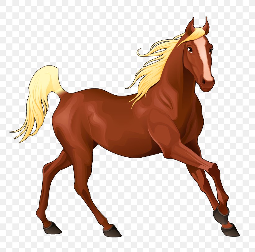 Horse Equestrian Clip Art, PNG, 805x812px, Horse, Animal Figure, Bridle, Colt, Drawing Download Free