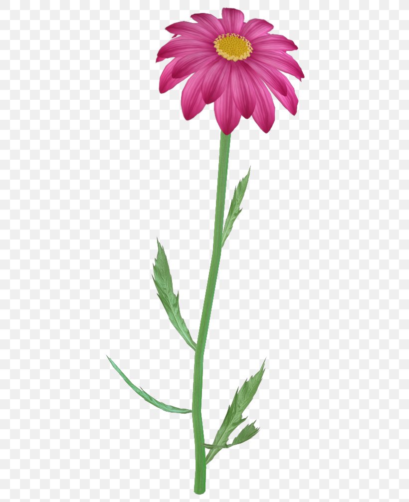 Pink Flowers Clip Art, PNG, 417x1006px, Pink Flowers, Alpha Compositing, Annual Plant, Aster, Chrysanths Download Free