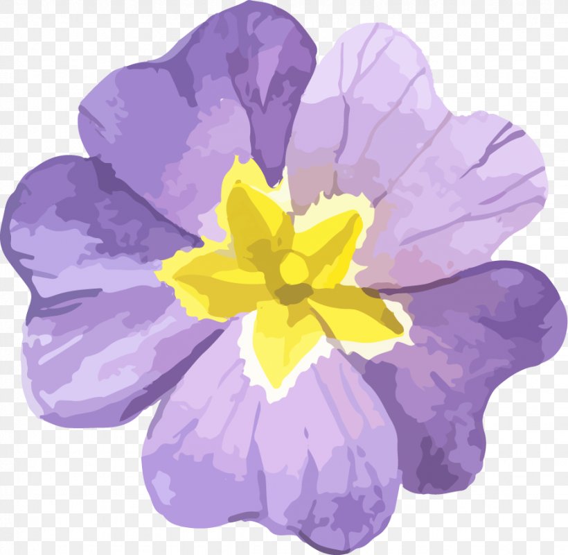 Primrose Violet Crocus Petal Family, PNG, 924x902px, Primrose, Crocus, Family, Flower, Flowering Plant Download Free