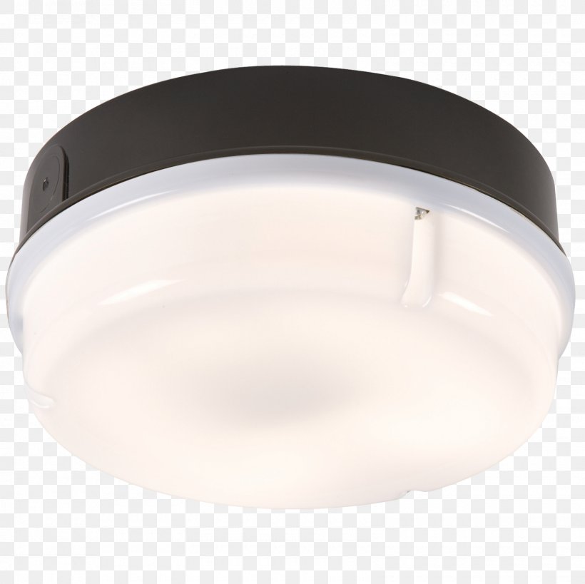 Light Fixture Plafond Table Lighting, PNG, 1600x1600px, Light, Ceiling, Ceiling Fixture, Edison Screw, Glass Download Free