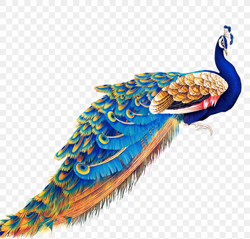 Peafowl Display Resolution Wallpaper, PNG, 2350x2245px, Peafowl, Beak, Bird, Display Resolution, Feather Download Free
