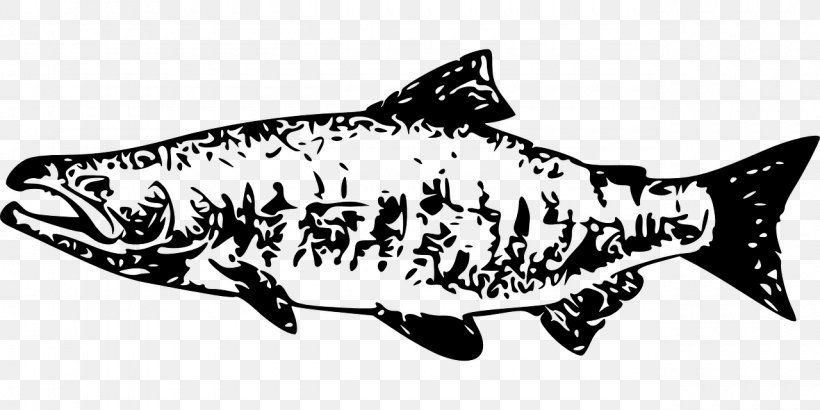 chinook salmon black and white illustration free download