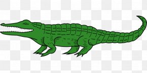 Crocodile - Crocodile Alligators Clip Art Image PNG