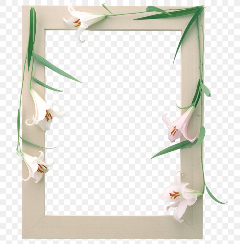 Picture Frames Image Photograph Adobe Photoshop, PNG, 740x832px, Picture Frames, Americanflat Album Frame, Drawing, Floral Design, Flower Download Free
