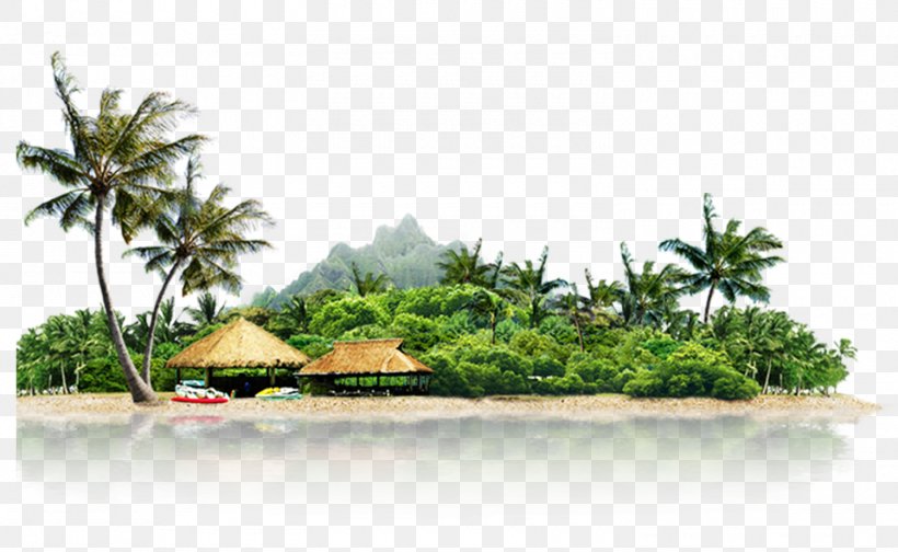 Island Image Computer File, PNG, 1500x922px, Island, Area, Arecales, Gratis, Hotel Download Free