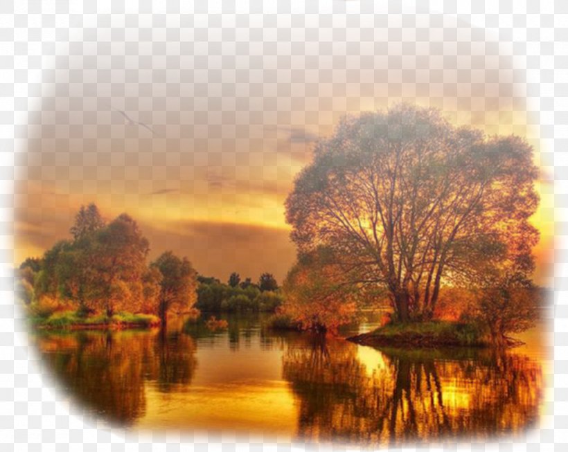 Sunset Landscape Photography Autumn Desktop Wallpaper, PNG, 980x781px, Sunset, Autumn, Autumn Leaf Color, Cloud, Dawn Download Free