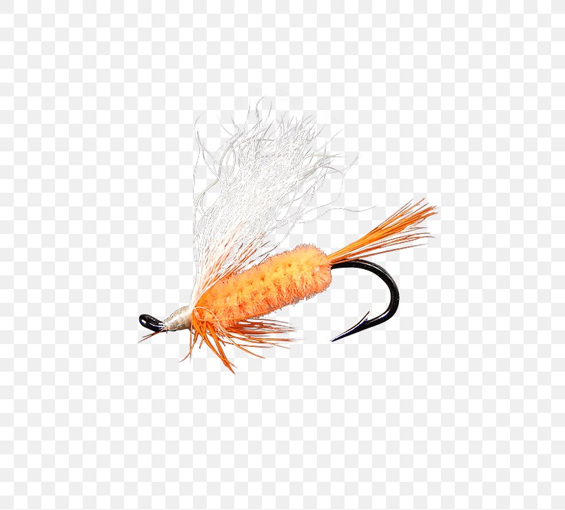 Artificial Fly Fly Fishing Shrimp, PNG, 555x741px, Fly, American Shad, Artificial Fly, Fishing, Fishing Bait Download Free