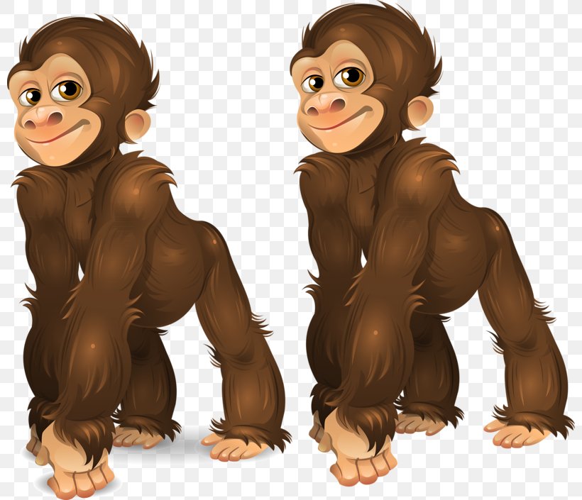 Gorilla Common Chimpanzee Orangutan Ape Monkey, PNG, 800x705px, Gorilla, Ancestor, Ape, Bear, Brown Hair Download Free