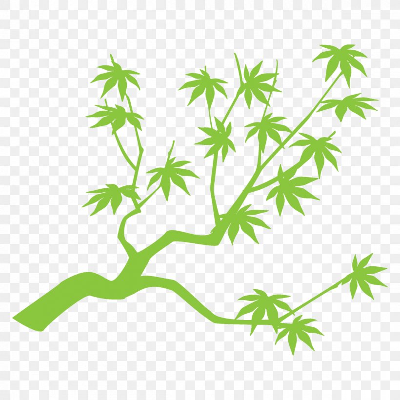 Maple Branch Maple Leaves Maple Tree, PNG, 1200x1200px, Maple Branch, Branch, Flower, Green, Leaf Download Free