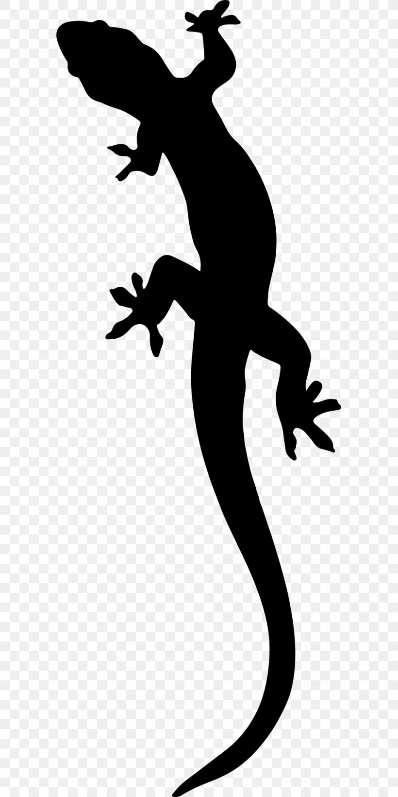 Salamander Lizard Clip Art Png 960x1920px Salamander Alpine Salamander Animal Black And White Drawing Download Free