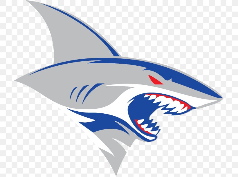 Shark Image Logo American Football Png 792x612px Shark - new shark jaws 2015 2016 roblox