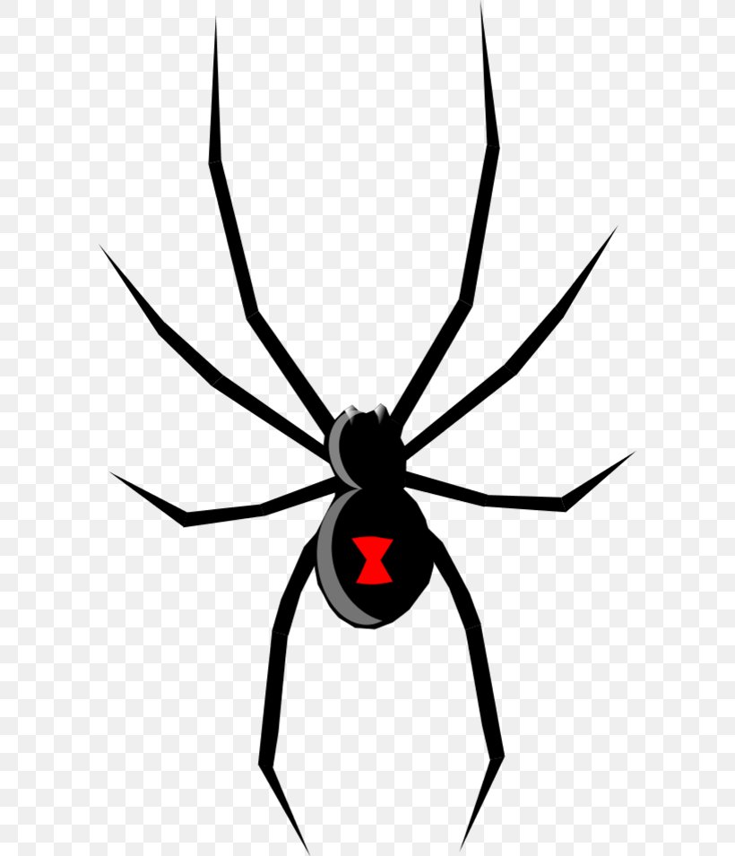Spider Web Brown Widow Drawing Clip Art, PNG, 600x955px, Spider, Arachnid, Art, Arthropod, Artwork Download Free