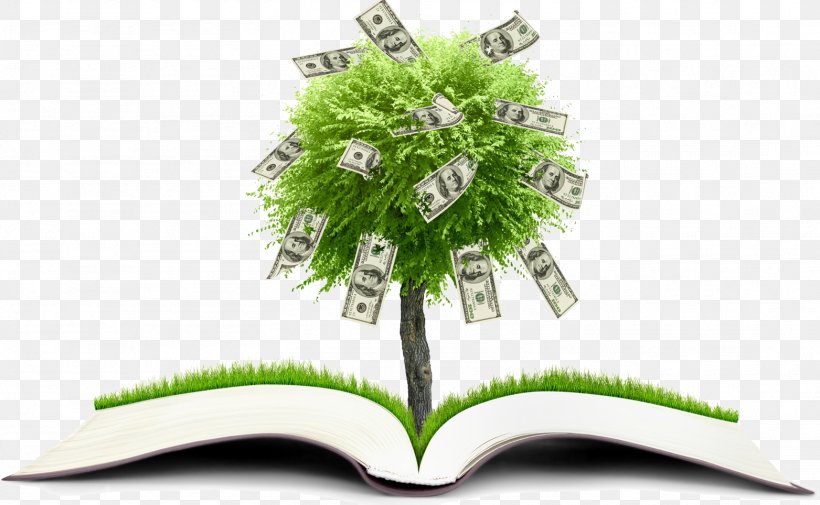 Financial Literacy Personal Finance Financial Plan Education, PNG, 1563x964px, Financial Literacy, Bank, Education, Energy, Fafsa Download Free