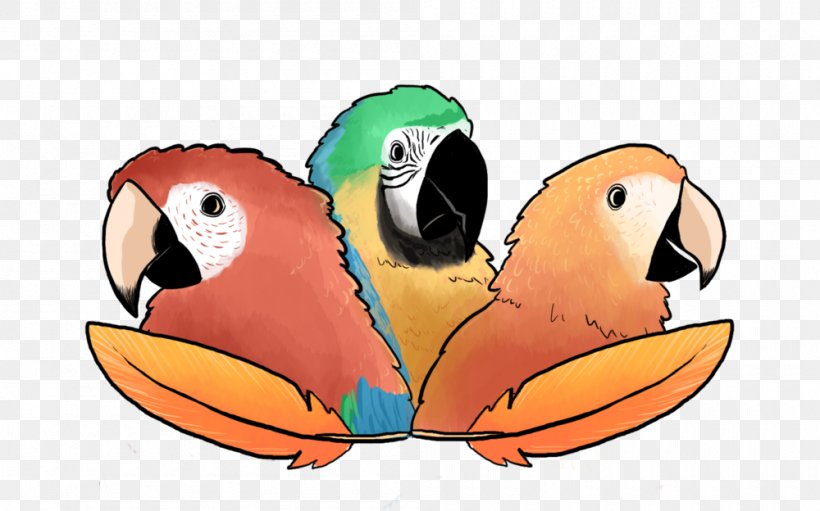 Macaw Parrot Podcast Drawing, PNG, 1000x624px, 2017, Macaw, Art, August, Beak Download Free