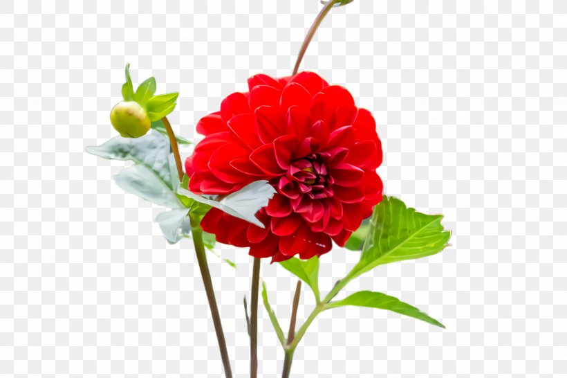 Artificial Flower, PNG, 2448x1632px, Flower, Artificial Flower, Carnation, Cut Flowers, Flowering Plant Download Free
