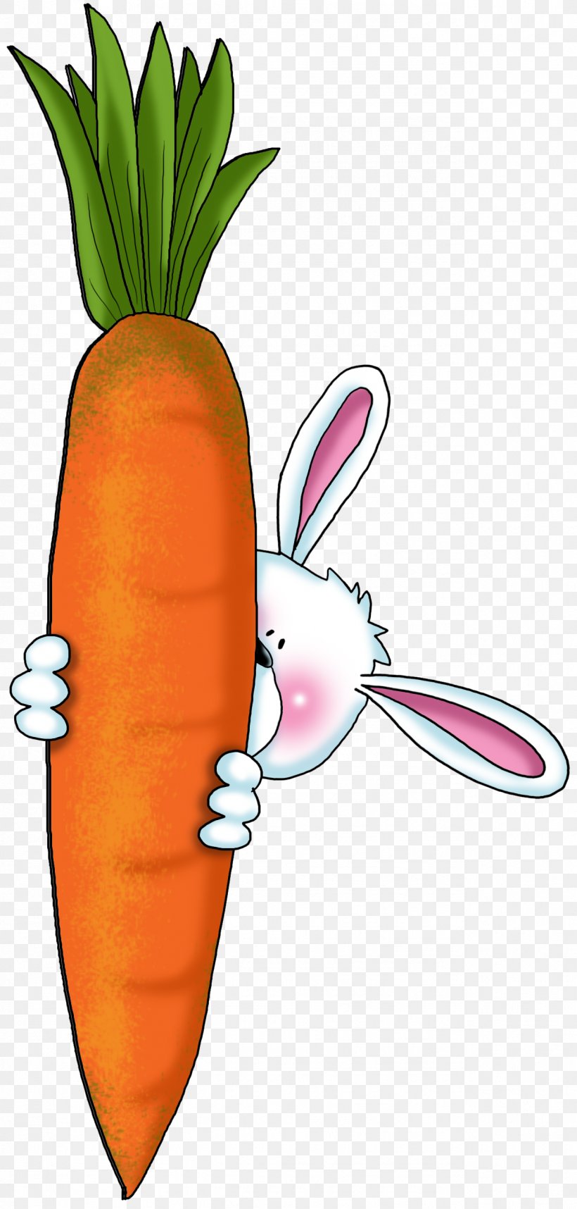 Carrot Cake Vegetable Rabbit Drawing, PNG, 1273x2664px, Carrot, Apiaceae, Arracacia Xanthorrhiza, Carrot Cake, Drawing Download Free