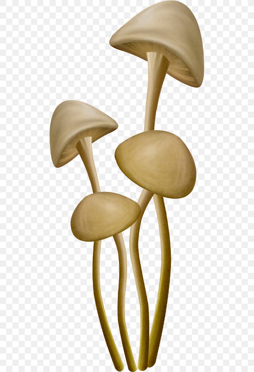 Mushroom Fungus Clip Art, PNG, 501x1200px, Mushroom, Collage, Email, Fungus, Furniture Download Free