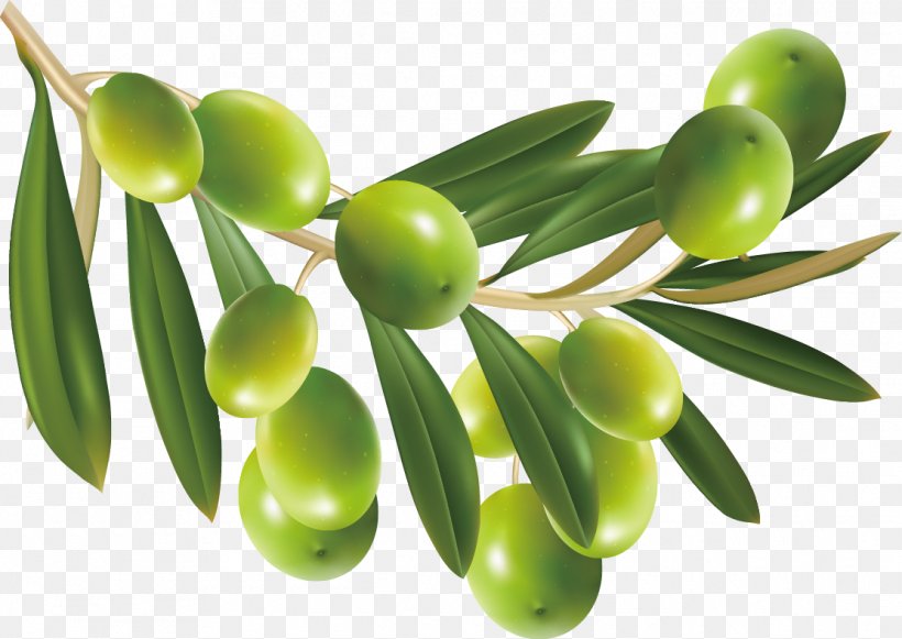 Olive Display Resolution Clip Art, PNG, 1112x789px, Olive, Display Resolution, Food, Fruit, Olive Leaf Download Free