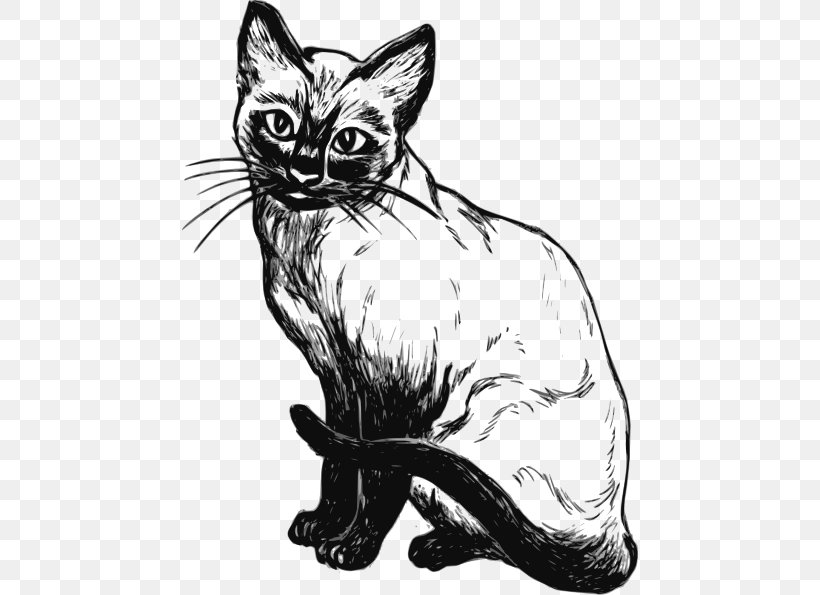 Siamese Cat Kitten Sphynx Cat Drawing Clip Art, PNG, 456x595px, Siamese Cat, Art, Black And White, Black Cat, Carnivoran Download Free