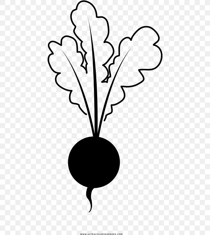 Black And White Flower, PNG, 451x917px, Drawing, Beet, Beetroots, Black And White, Blackandwhite Download Free