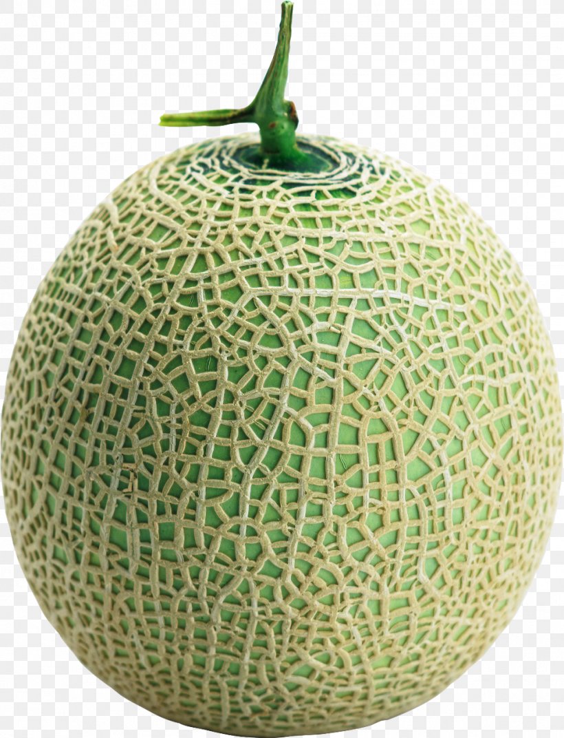Cantaloupe Honeydew Galia Melon Cucumber, PNG, 979x1280px, Cantaloupe, Blueberry, Cherry, Cucumber, Cucumber Gourd And Melon Family Download Free