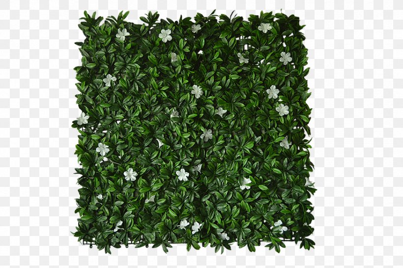 Green Wall Garden Petunia Window Blinds & Shades Follaje, PNG, 875x582px, Green Wall, Aluminium, Color, Follaje, Garden Download Free