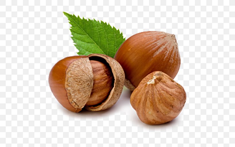 Hazelnut Filbert Common Hazel Raw Foodism, PNG, 512x512px, Hazelnut, Common Hazel, Corylus Colurna, Dried Fruit, Ferrero Spa Download Free