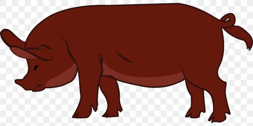 Duroc Pig Pig's Ear Livestock Clip Art, PNG, 960x480px, Duroc Pig, Animal Figure, Bear, Carnivoran, Cartoon Download Free