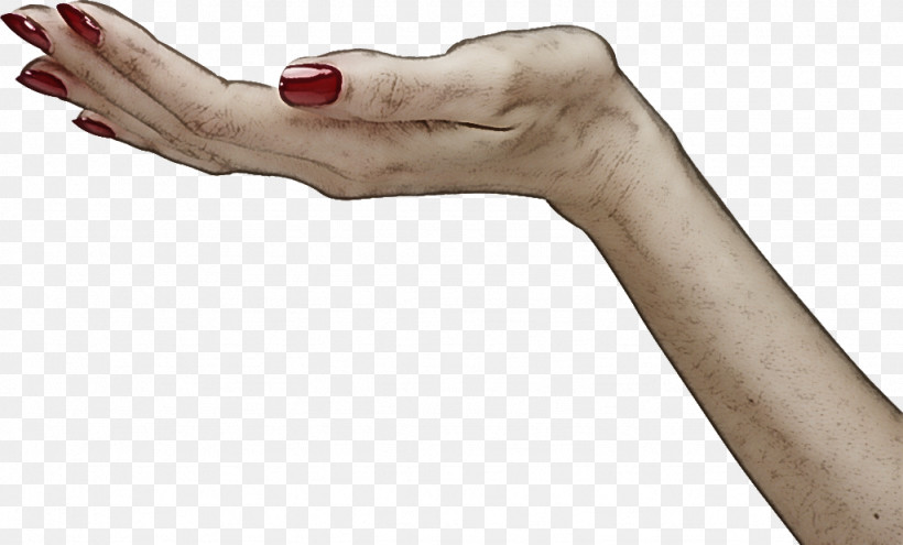 Hand Finger Arm Gesture Thumb, PNG, 1024x619px, Hand, Arm, Elbow, Finger, Gesture Download Free