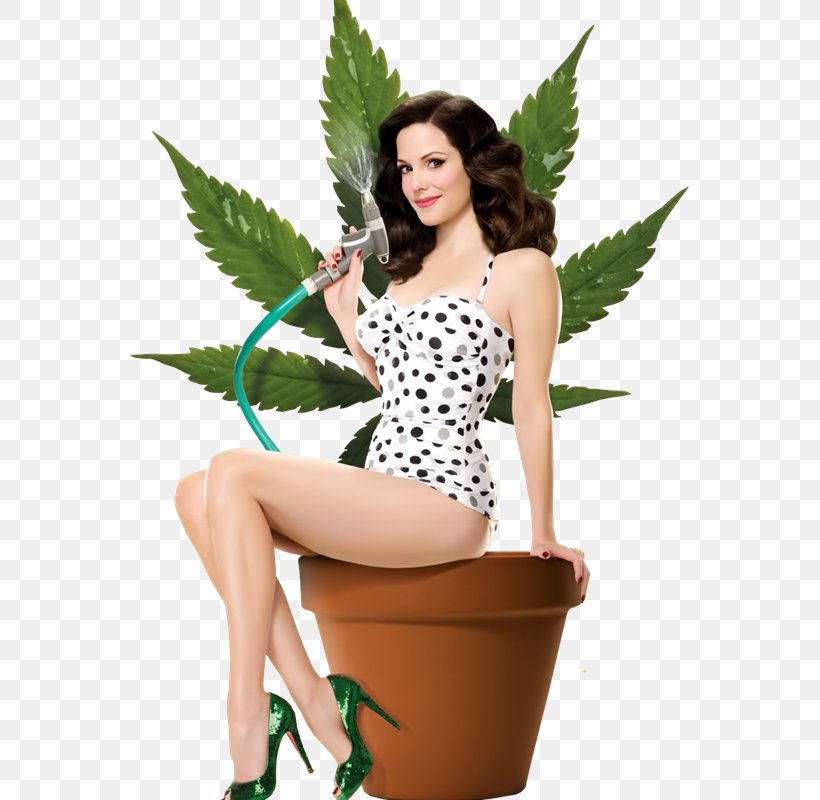 Jenji Kohan Weeds Nancy Botwin Television Show Poster, PNG, 559x800px, Watercolor, Cartoon, Flower, Frame, Heart Download Free