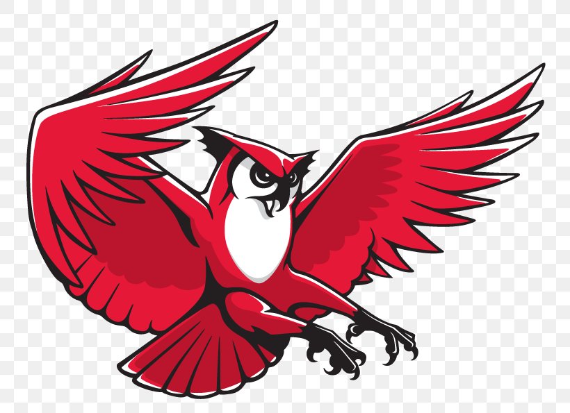 Keene State College Keene State Owls Men's Basketball Kennesaw State University Logo, PNG, 800x595px, Keene State College, Art, Beak, Bird, Bird Of Prey Download Free