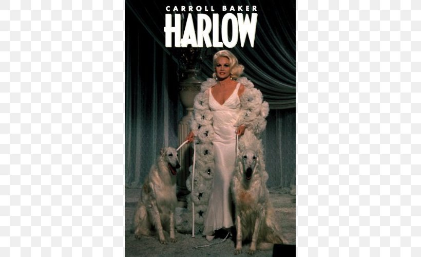 Marino Bello Actor Film Jean Harlow, PNG, 500x500px, Actor, Album Cover, Carroll Baker, Dog Like Mammal, Film Download Free