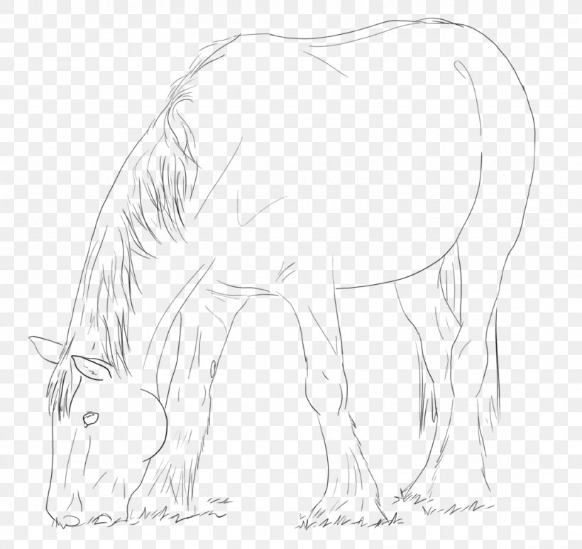 Mustang Snout Drawing Pack Animal Sketch, PNG, 1024x966px, 2019 Ford Mustang, Mustang, Artwork, Black And White, Drawing Download Free