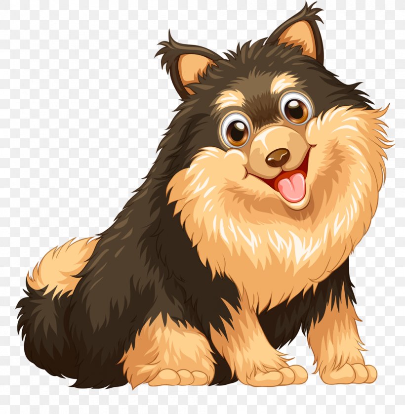 Pomeranian Puppy Royalty-free, PNG, 1001x1024px, Pomeranian, Breed, Can Stock Photo, Carnivoran, Collie Download Free