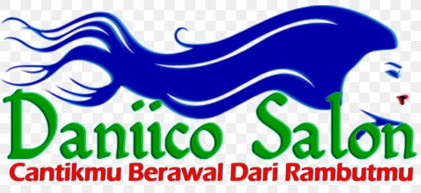 Daniico Salon 2 Artificial Hair Integrations Beauty Parlour, PNG, 1600x734px, Hair, Area, Artificial Hair Integrations, Barrette, Beauty Parlour Download Free
