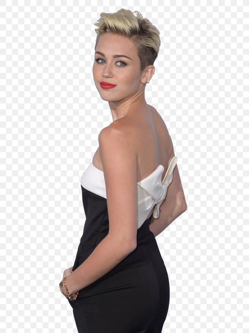 Miley Cyrus Hannah Montana Photography, PNG, 730x1095px, Watercolor, Cartoon, Flower, Frame, Heart Download Free