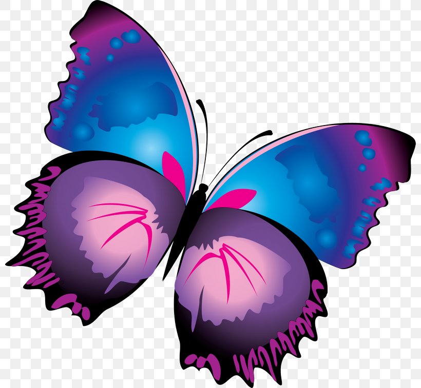 Butterfly Purple Clip Art, PNG, 800x757px, Butterfly, Art, Blue, Brush Footed Butterfly, Green Download Free