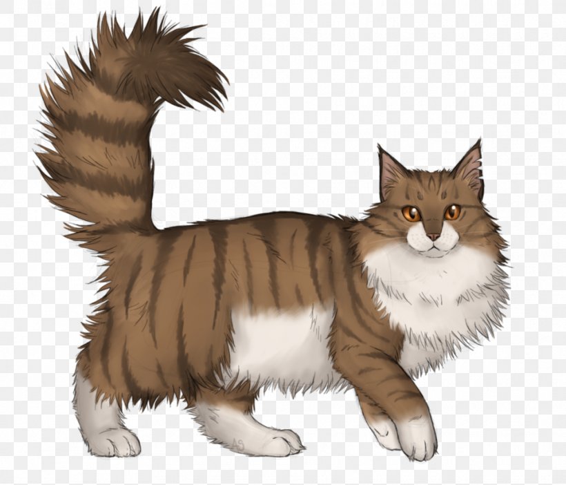 Manx Cat Norwegian Forest Cat Maine Coon Whiskers Domestic Short-haired Cat, PNG, 965x827px, Manx Cat, Carnivoran, Cat, Cat Like Mammal, Domestic Short Haired Cat Download Free