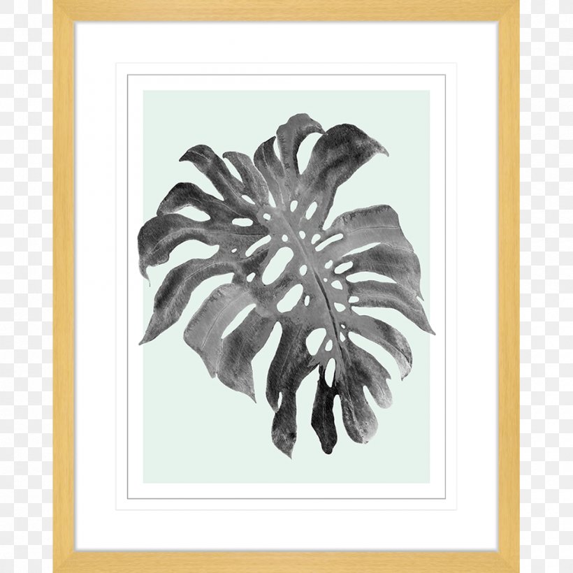 Swiss Cheese Plant Paper Picture Frames Printmaking Art, PNG, 1000x1000px, Swiss Cheese Plant, Architecture, Art, Canvas, Canvas Print Download Free