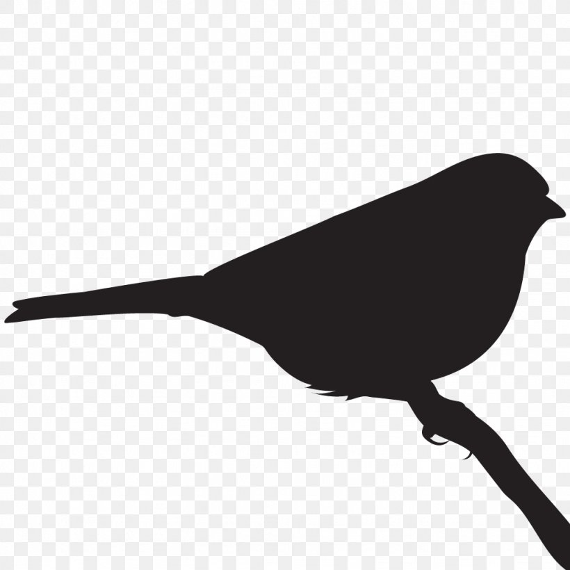Bird Black And White Monochrome Photography Beak, PNG, 1024x1024px, Bird, American Sparrows, Beak, Black, Black And White Download Free